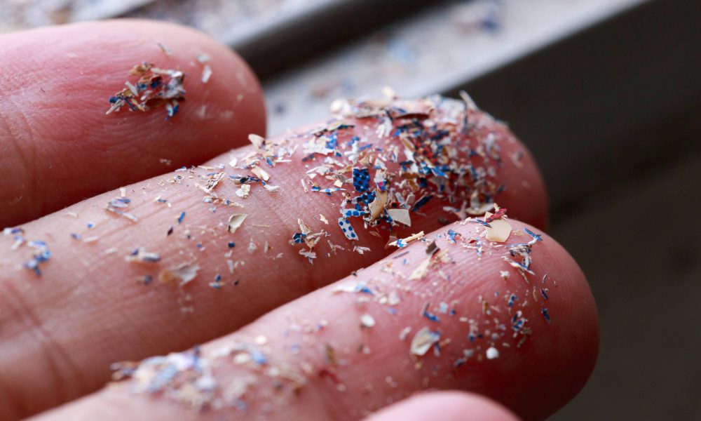 Microplásticos podem afetar a saúde dos ossos – 18/09/2025 – Equilíbrio e Saúde