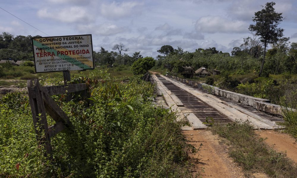 Proteção de terras indígenas na amazônia reduz doenças – 11/09/2025 – Ambiente
