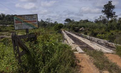 Proteção de terras indígenas na amazônia reduz doenças – 11/09/2025 – Ambiente