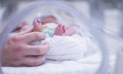 SUS terá vacina do vírus sincicial a gestantes – 10/09/2025 – Equilíbrio e Saúde