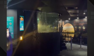 Acidente perto do tanque de piranhas assusta visitantes no Aquário do RJ