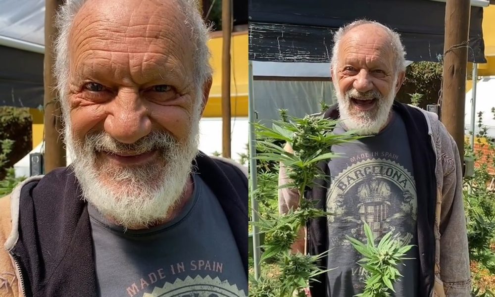 Após mostrar plantação de cannabis, Ricardo Petraglia explica autorização: ‘Polícia vem aqui de tempos em tempos’