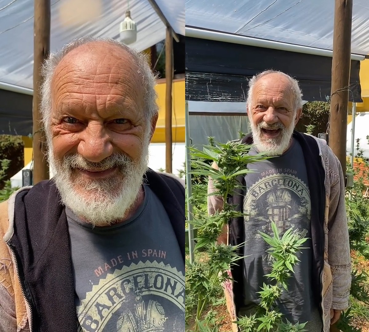 Após mostrar plantação de cannabis, Ricardo Petraglia explica autorização: ‘Polícia vem aqui de tempos em tempos’