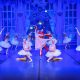 Clássico de Tchaikovsky no Rio: elenco europeu encabeça ‘O Quebra-Nozes’ no Opus Città – Diário do Rio de Janeiro