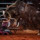 De olho no público sertanejo, Globo exibe documentário sobre rodeios no horário nobre