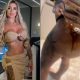 Juju Ferrari mostra bumbum vazando hidrogel após infecção e faz alerta; vídeo