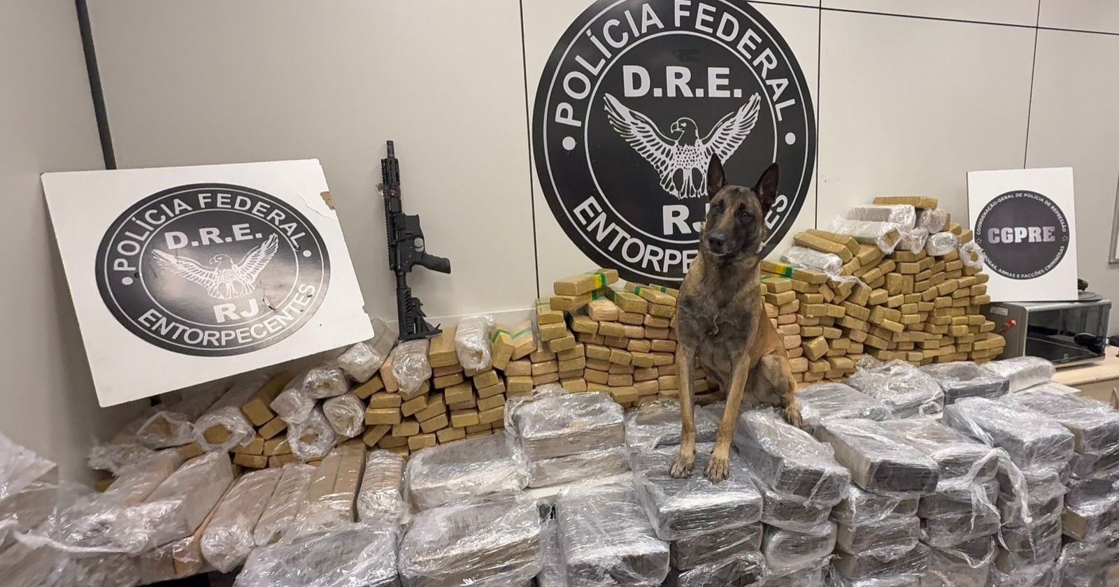 PF apreende tonelada de maconha e fuzil escondidos em caminhão na Dutra; caminhoneiro é preso