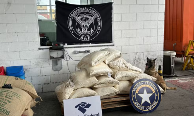 PF e Receita apreendem 500 kg de cocaína escondidos em carga de café no Porto do Rio – Diário do Rio de Janeiro