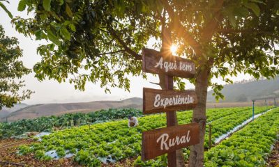 Paty de Alferes lança ‘Circuito Rural Roça dos Alferes’ com 15 experiências na região – Diário do Rio de Janeiro