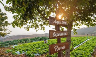 Paty de Alferes lança circuito turístico rural
