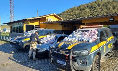 Polícia Rodoviária Federal apreende cocaína, crack e ecstasy em Silva Jardim