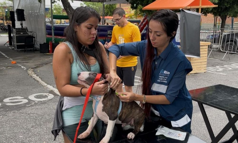 Prefeitura realiza campanha de vacinação contra a raiva; confira a lista de postos