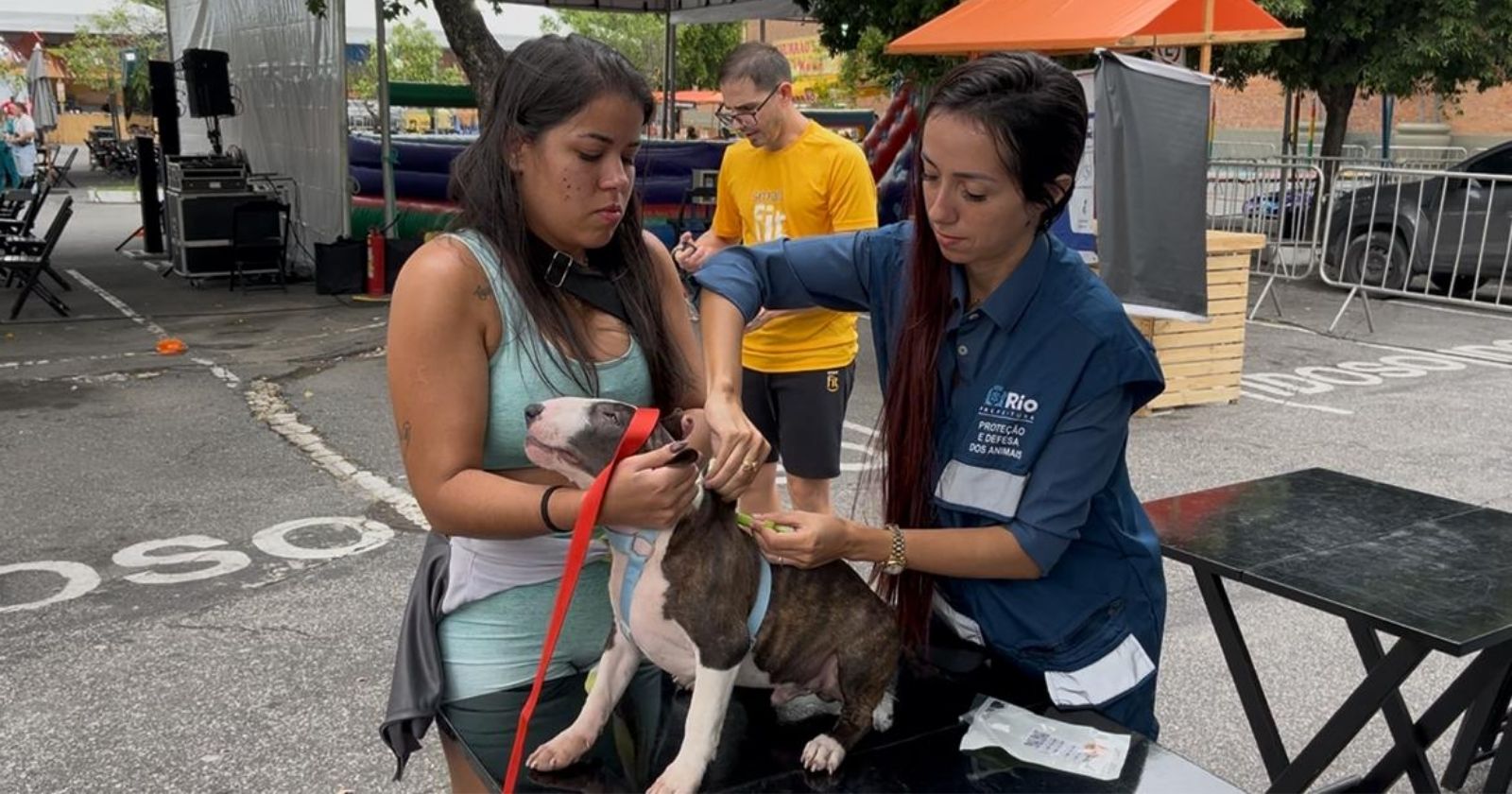 Prefeitura realiza campanha de vacinação contra a raiva; confira a lista de postos