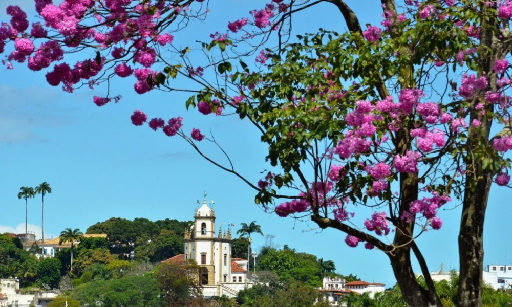 Primavera 2025 no Rio deve injetar R$ 8 bilhões e atrair 3,8 milhões de turistas – Diário do Rio de Janeiro