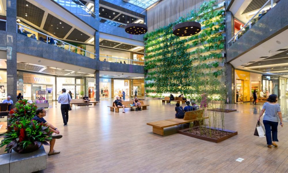 Rio Design Barra celebra 25 anos com festival que reúne 13 restaurantes – Diário do Rio de Janeiro