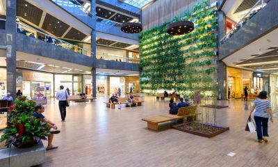 Rio Design Barra celebra 25 anos com festival que reúne 13 restaurantes – Diário do Rio de Janeiro