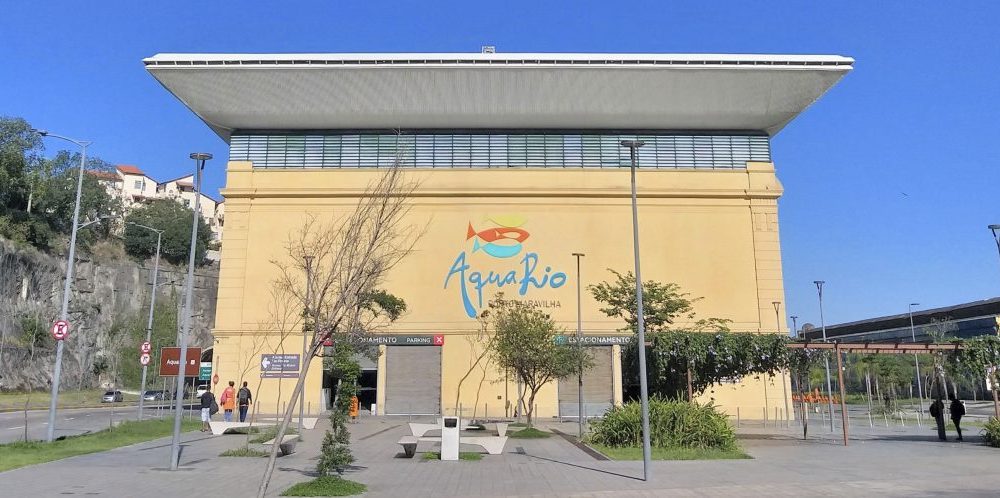 Vazamento derruba parte do teto do AquaRio e assusta visitantes – Diário do Rio de Janeiro