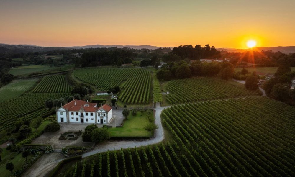 Vinhos Verdes no Rio: degustação com 20 vinícolas no Palácio de São Clemente, dia 6/10 – Diário do Rio de Janeiro