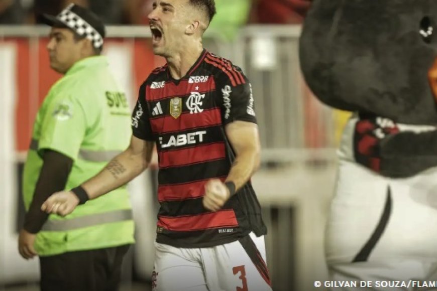 Flamengo vence o Galo e é o novo líder do Campeonato Brasileiro