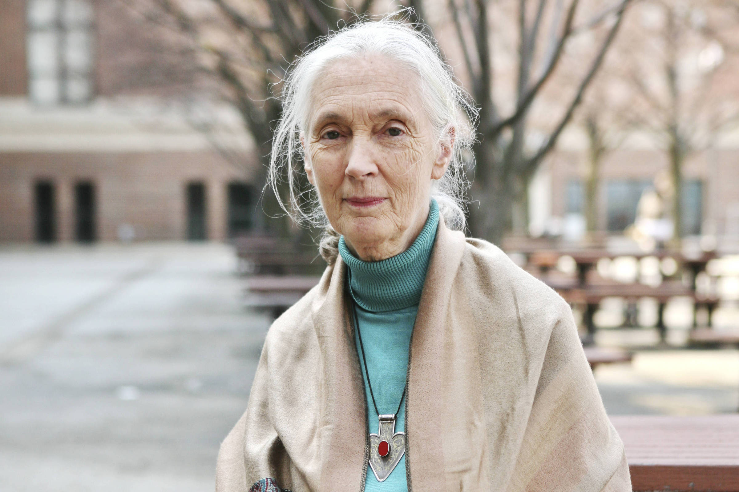 O que Jane Goodall ensinou sobre viver uma vida longa – 04/10/2025 – Equilíbrio