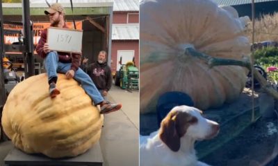 Homem bate recorde com abóbora de 721 quilos nos EUA