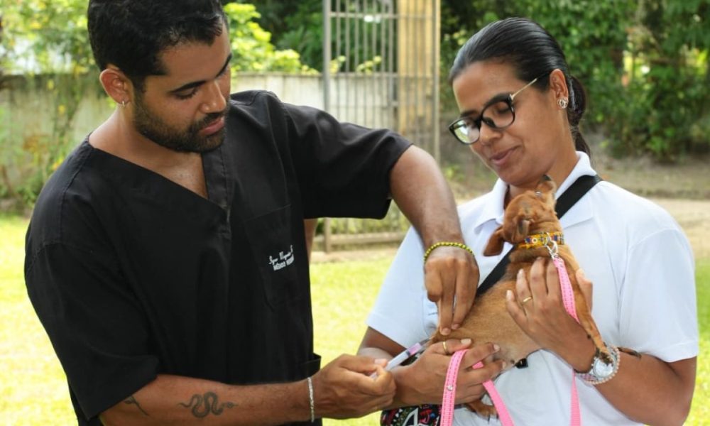 Nova Iguaçu terá campanha de vacinação antirrábica para cães e gatos neste sábado – Diário do Rio de Janeiro