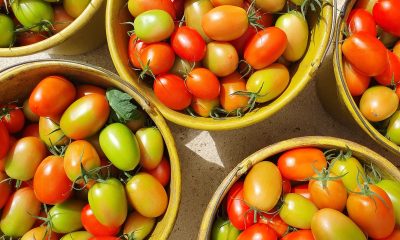 Preço da cesta básica cai em 22 das 27 capitais em setembro. No Rio, custa R$ 799