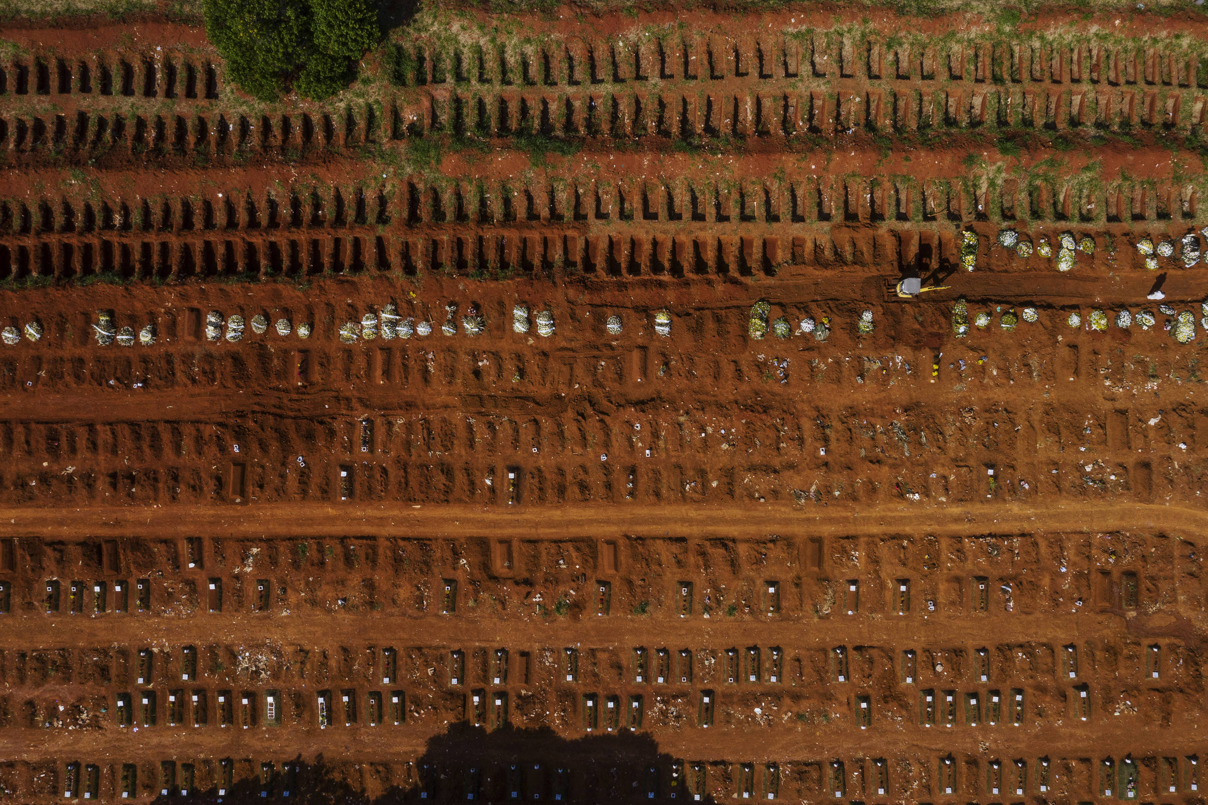 Estados que sofreram com dengue responderam melhor à Covid – 07/01/2026 – Equilíbrio e Saúde