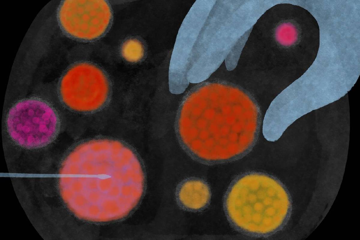 Estilo de vida é essencial contra a infertilidade – 18/01/2026 – Equilíbrio