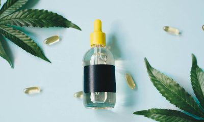 Anvisa interdita canabidiol comprado pela prefeitura de SP – 12/01/2026 – Equilíbrio e Saúde