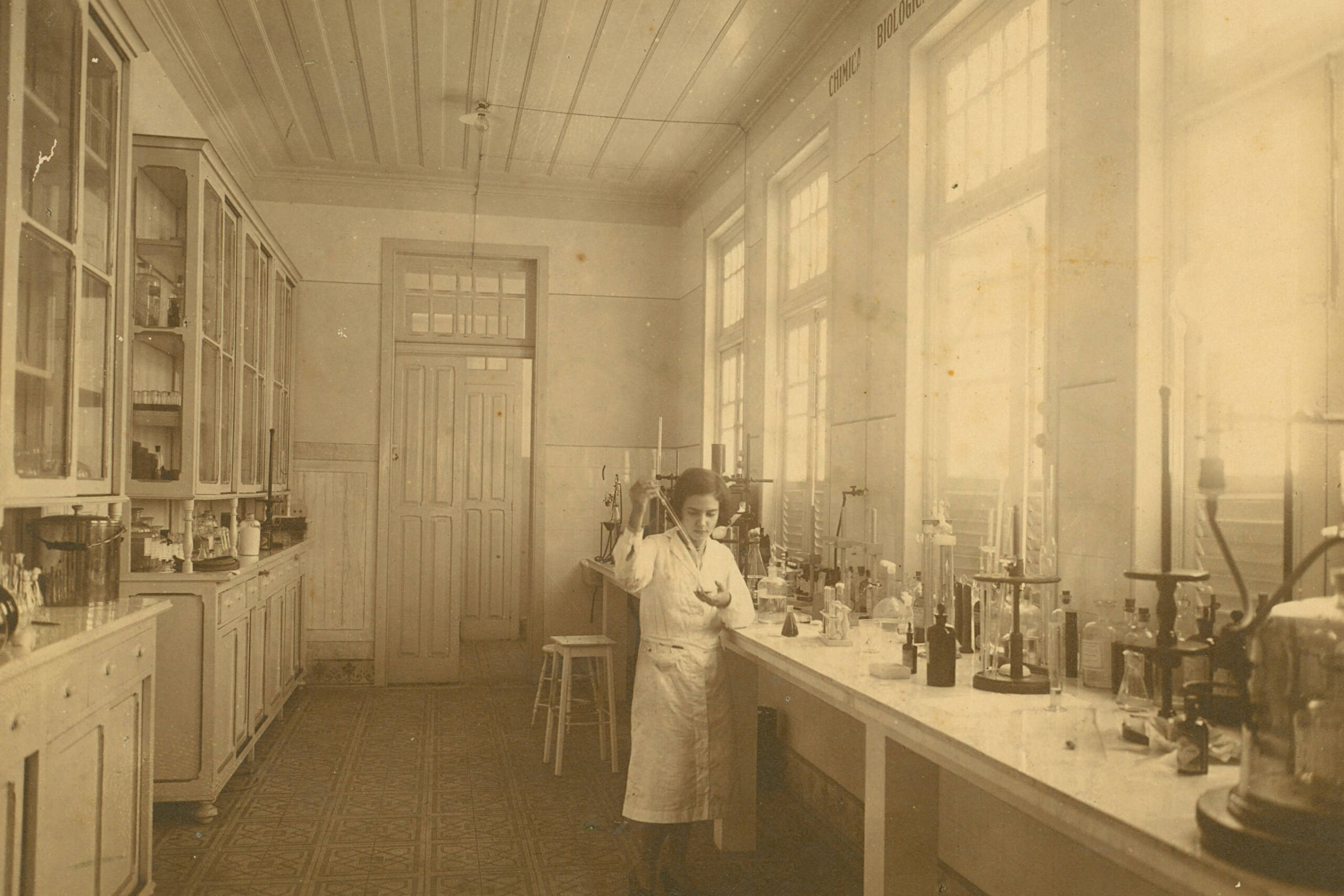 A mulher que viu o futuro da amazônia e não gosto – 11/01/2026 – Marcelo Leite