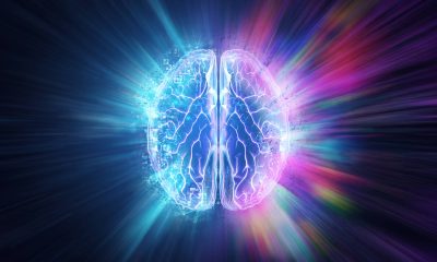 Hábitos que protegem o cérebro e reduzem risco de demência – 10/01/2026 – Equilíbrio