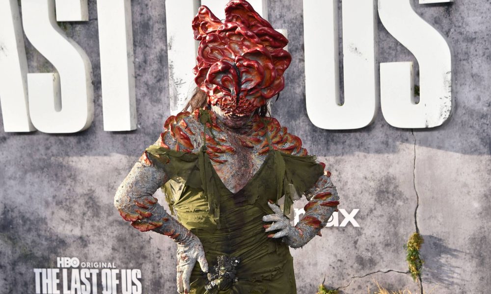 A internet dos fungos – 08/01/2026 – Suzana Herculano-Houzel