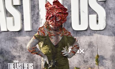 A internet dos fungos – 08/01/2026 – Suzana Herculano-Houzel