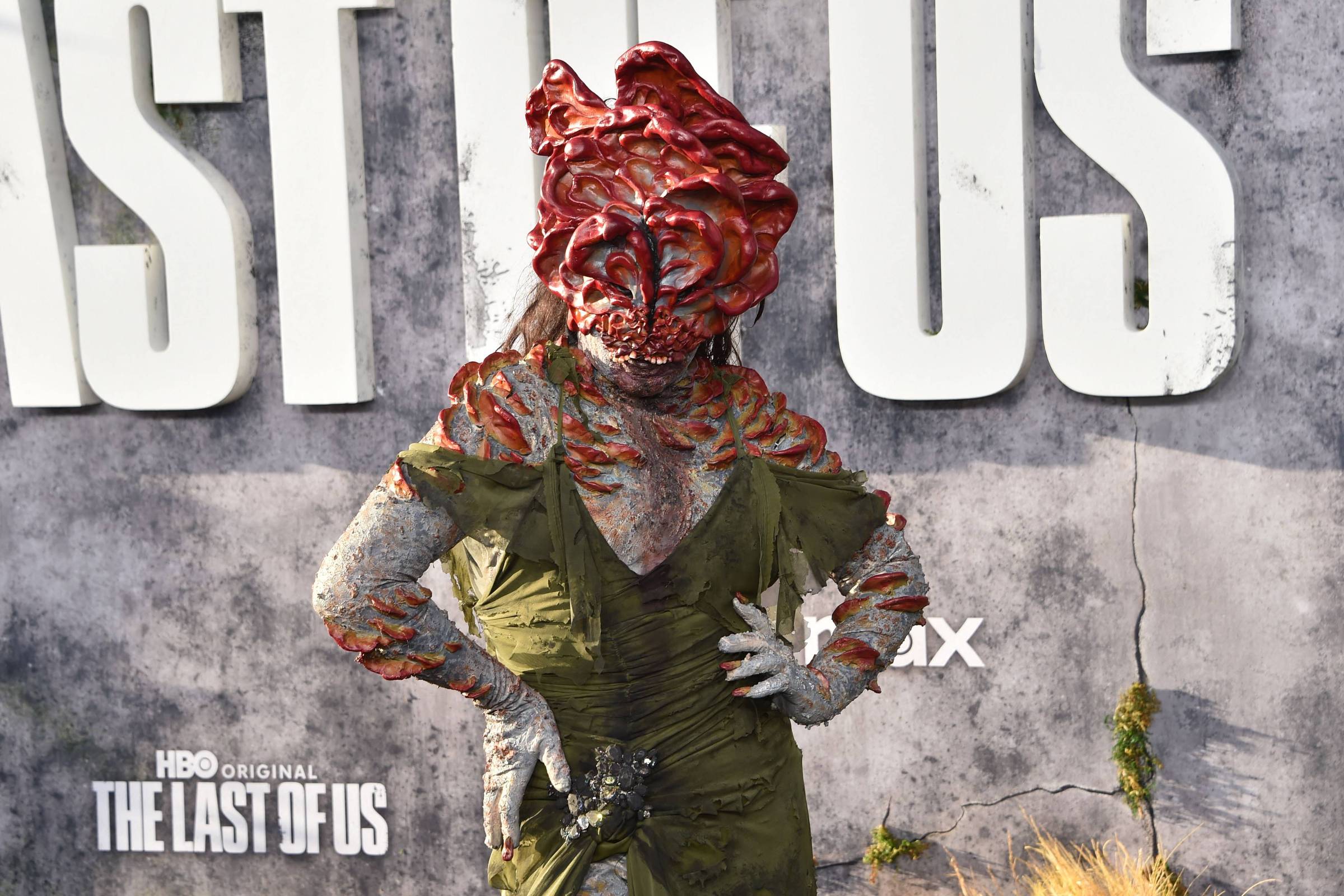 A internet dos fungos – 08/01/2026 – Suzana Herculano-Houzel