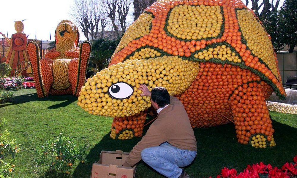 Psicodélicos: viagens longas mais terapêuticas – 15/01/2026 – Virada Psicodélica